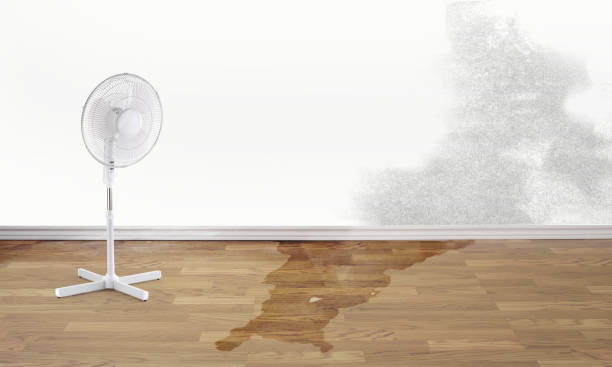 Best Water damage restoration near me  in Exander City, AL