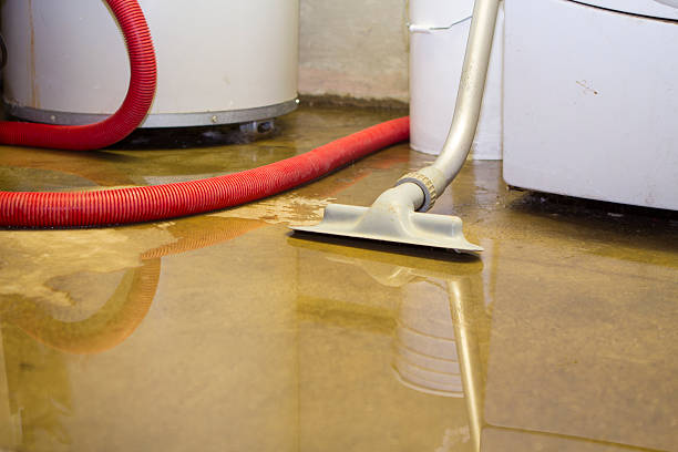 Best Flood restoration services  in Exander City, AL
