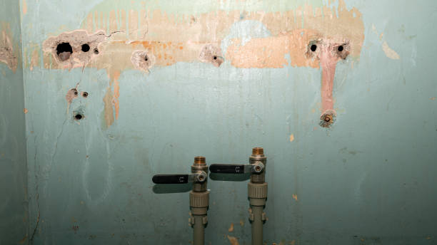 Best Residential water damage restoration  in Exander City, AL