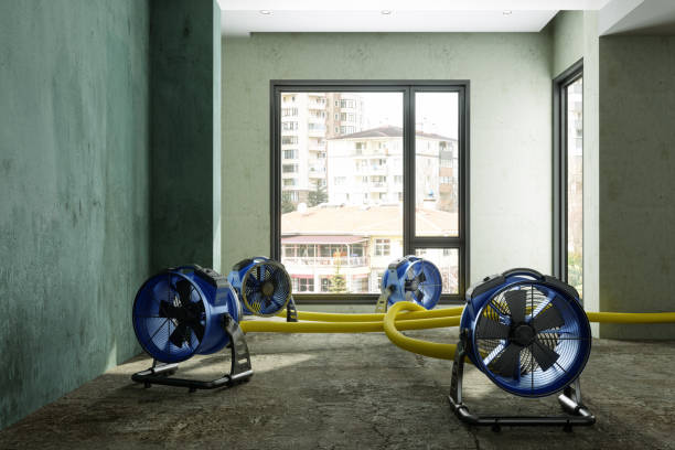 Best Commercial water damage restoration  in Exander City, AL